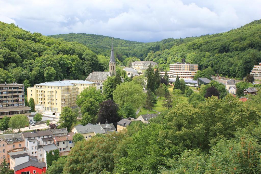 Hotel Ricarda Schlangenbad Dış mekan fotoğraf