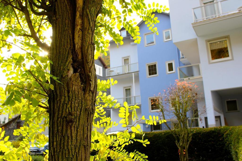 Hotel Ricarda Schlangenbad Dış mekan fotoğraf