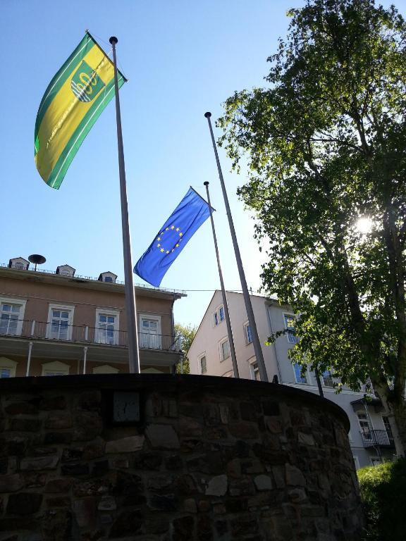 Hotel Ricarda Schlangenbad Dış mekan fotoğraf